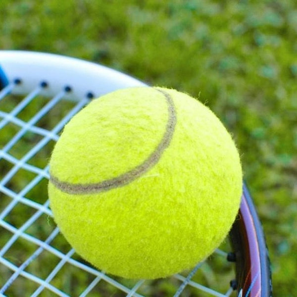 24cm Dog Tennis Ball